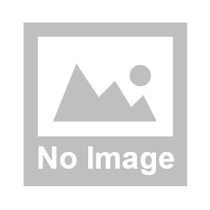 多元化拓展業務